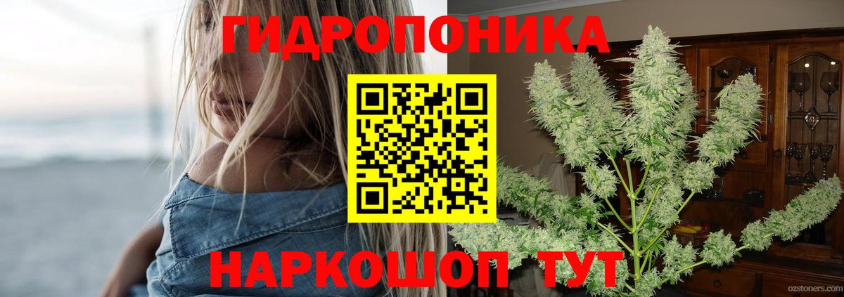 Конопля Bruce Banner  Каннабис Bruce Banner  Тимашёвск  Вход с VPN  Шишки марихуана Bruce Banner 